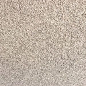 Orange Peel Unpainted ceiling texture