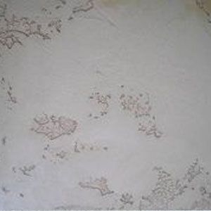 Venetian Lace Unpainted ceiling texture
