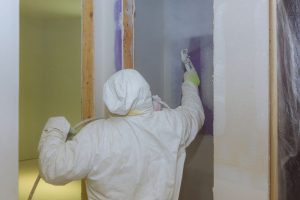 Professional Painting